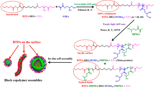 《Macromolecules》广东工业大学谭剑波:利用不良RAFT控制在非均相RAFT聚合的图7