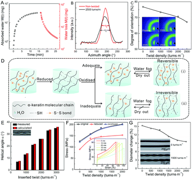 《Mater. Horiz.》南开大学刘遵峰:二硫键交联来调节传感器，开关和软机器人的头发人造肌肉的可逆性的图4