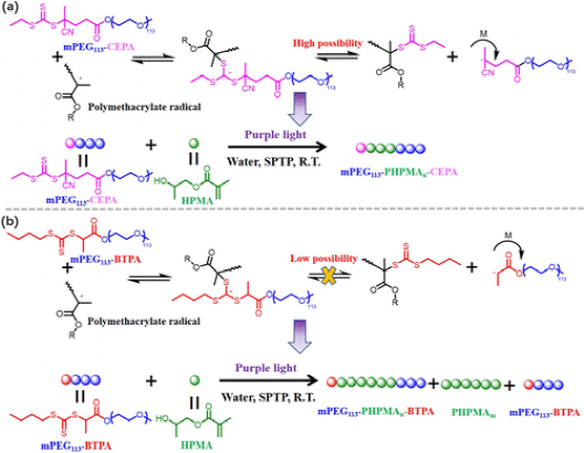 《Macromolecules》广东工业大学谭剑波:利用不良RAFT控制在非均相RAFT聚合的图3