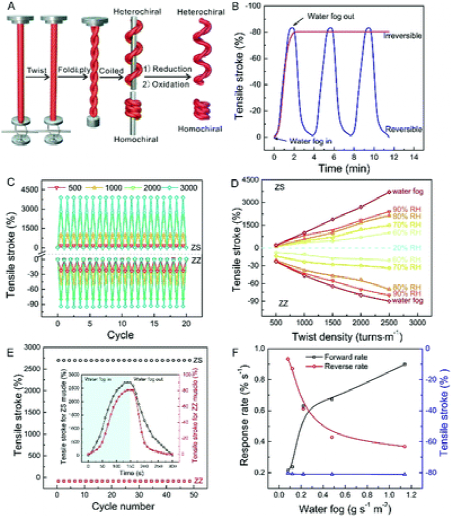 《Mater. Horiz.》南开大学刘遵峰:二硫键交联来调节传感器，开关和软机器人的头发人造肌肉的可逆性的图6