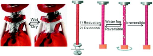 《Mater. Horiz.》南开大学刘遵峰:二硫键交联来调节传感器，开关和软机器人的头发人造肌肉的可逆性的图1