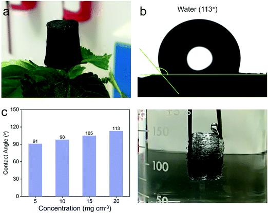 《Materials Advances》：南洋理工大制備高效、可循環(huán)油水分離的3D多孔MoS2–PVP氣凝膠的圖3
