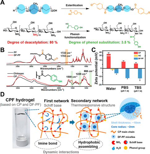 台湾大学徐善慧《材料化学》分层胶束结构和快速粘合性的可注射酚醛-壳聚糖自修复水凝胶的图3
