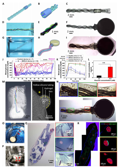 《Science Advances》康奈爾大學馬明林：可細胞遞送的水凝膠反向呼吸封裝系統的圖7