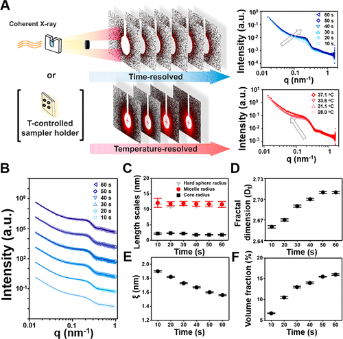 台湾大学徐善慧《材料化学》分层胶束结构和快速粘合性的可注射酚醛-壳聚糖自修复水凝胶的图6