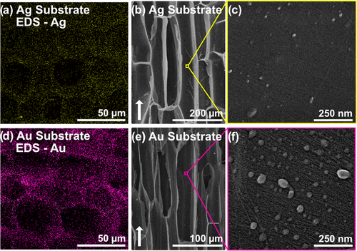 《Chem. Mater.》透明木材纳米复合材料的便捷加工，具有结构颜色的等离子纳米颗粒的图5