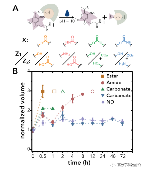 【前沿追踪】光感应交联剂及水凝胶！调控水凝胶降解、蛋白质释放方式和速率！的图3