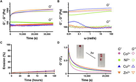 《Science Adv.》可注射光敏水凝胶，金属组装递送神经保护蛋白的图4