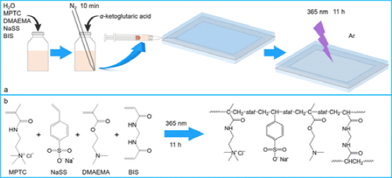 《Macromolecules》华南理工大学王涛/孙尉翔/童真:pH响应/形状记忆/自增强/快修复/两性/聚电解质水凝胶的图2