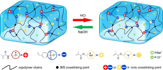 《Macromolecules》华南理工大学王涛/孙尉翔/童真:pH响应/形状记忆/自增强/快修复/两性/聚电解质水凝胶的图6