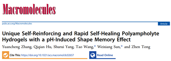 《Macromolecules》华南理工大学王涛/孙尉翔/童真:pH响应/形状记忆/自增强/快修复/两性/聚电解质水凝胶的图1