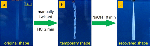 《Macromolecules》华南理工大学王涛/孙尉翔/童真:pH响应/形状记忆/自增强/快修复/两性/聚电解质水凝胶的图3