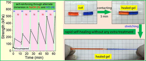《Macromolecules》华南理工大学王涛/孙尉翔/童真:pH响应/形状记忆/自增强/快修复/两性/聚电解质水凝胶的图10