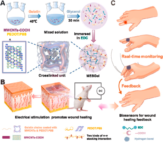 《Biomaterials》陕科大刘新华/王学川、川大郭俊凌：受皮肤启发柔性生物电子明胶水凝胶，用于促进伤口愈合和运动传感的图1