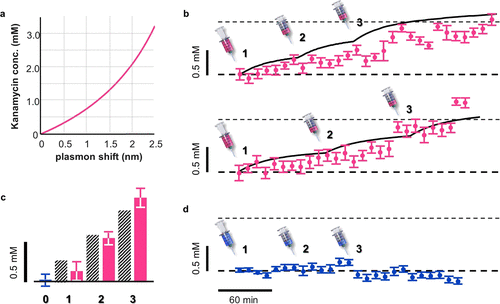 美因兹大学《Nano Letters》纳米金复合可植入水凝胶传感器，体内长期监测卡那霉素浓度的图4