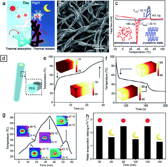 东南大学代云茜：全天的太阳能蒸发平台，可从微塑料污染中收集清洁水的图8