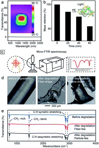 东南大学代云茜：全天的太阳能蒸发平台，可从微塑料污染中收集清洁水的图6