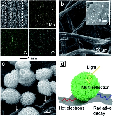 东南大学代云茜：全天的太阳能蒸发平台，可从微塑料污染中收集清洁水的图5