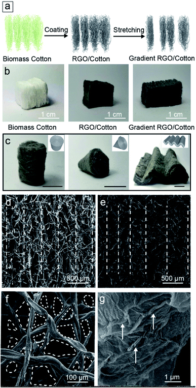 东南大学代云茜：全天的太阳能蒸发平台，可从微塑料污染中收集清洁水的图3