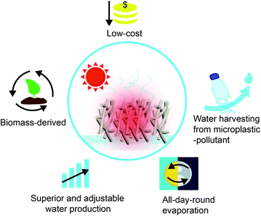 东南大学代云茜：全天的太阳能蒸发平台，可从微塑料污染中收集清洁水的图9