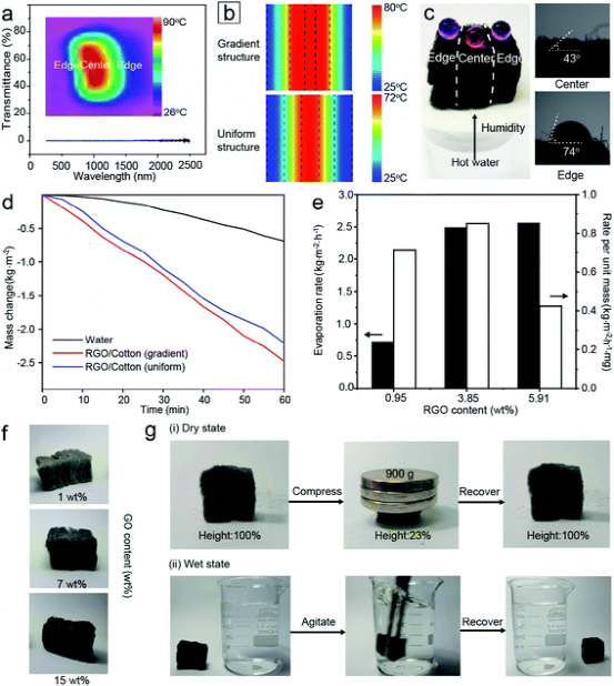 东南大学代云茜：全天的太阳能蒸发平台，可从微塑料污染中收集清洁水的图4