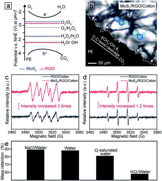 东南大学代云茜：全天的太阳能蒸发平台，可从微塑料污染中收集清洁水的图7