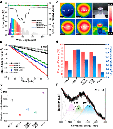 南京林业大学杨小飞《ACS Nano》烯/PVA/壳聚糖水凝胶表面图案化, 用于高产太阳能蒸汽的图5