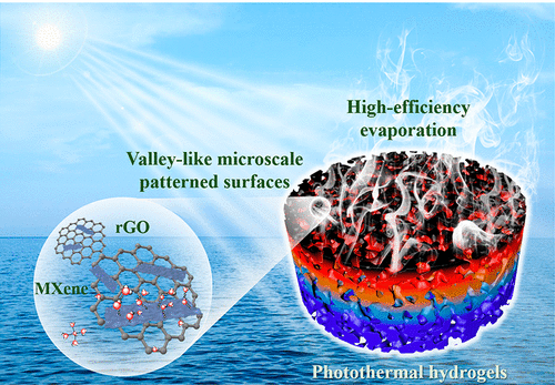 南京林业大学杨小飞《ACS Nano》烯/PVA/壳聚糖水凝胶表面图案化, 用于高产太阳能蒸汽的图2