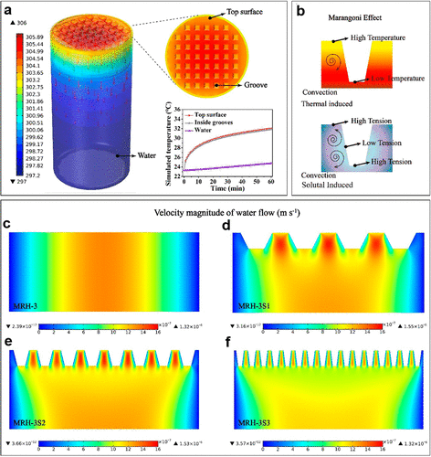 南京林业大学杨小飞《ACS Nano》烯/PVA/壳聚糖水凝胶表面图案化, 用于高产太阳能蒸汽的图7