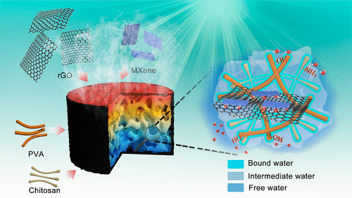 南京林业大学杨小飞《ACS Nano》烯/PVA/壳聚糖水凝胶表面图案化, 用于高产太阳能蒸汽的图3