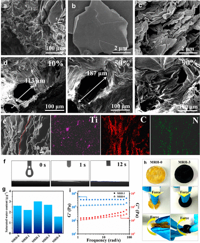 南京林业大学杨小飞《ACS Nano》烯/PVA/壳聚糖水凝胶表面图案化, 用于高产太阳能蒸汽的图4