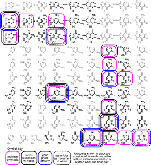 《JACS》成對和堆積雜環的水溶性超分子聚合物水凝膠：組裝、結構、性質和前 RNA 的可能途徑的圖5