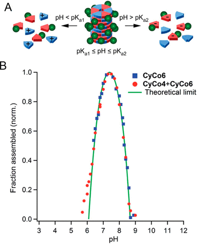 《JACS》成對和堆積雜環的水溶性超分子聚合物水凝膠：組裝、結構、性質和前 RNA 的可能途徑的圖9