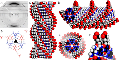 《JACS》成對和堆積雜環的水溶性超分子聚合物水凝膠：組裝、結構、性質和前 RNA 的可能途徑的圖6