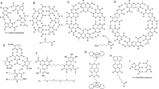 《JACS》成對和堆積雜環的水溶性超分子聚合物水凝膠：組裝、結構、性質和前 RNA 的可能途徑的圖4