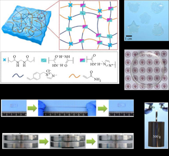 《Research》東華大學張超/劉天西: 致密氫鍵網絡增強極高韌性、快速自恢復和自粘附的離子導電水凝膠，用于人體運動檢測的圖2