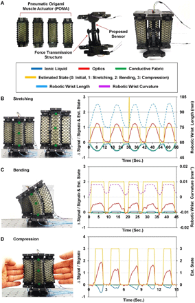国立首尔大学《科学·机器人》8种变形模式，95%精确度，微流控人机界面软传感器的图8