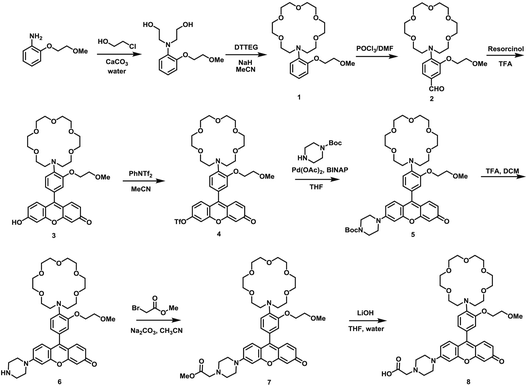 加州大學伯克利《Chem. Sci》活細胞中鉀離子比例熒光成像的雙熒光傳感器的圖8