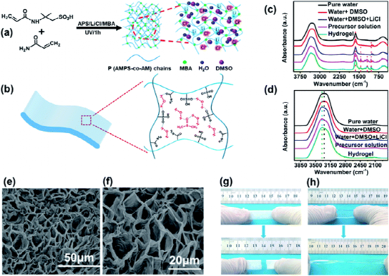 同济大学陈涛: DMSO掺杂的聚合物水凝胶电解质，在−20至100°C的温度下保留高电容的柔性超级电容器的图3