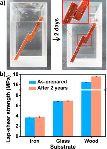 《ACS Materials Lett.》吉林大学孙俊奇：PVA/PAA超强水基超分子胶粘剂的图7