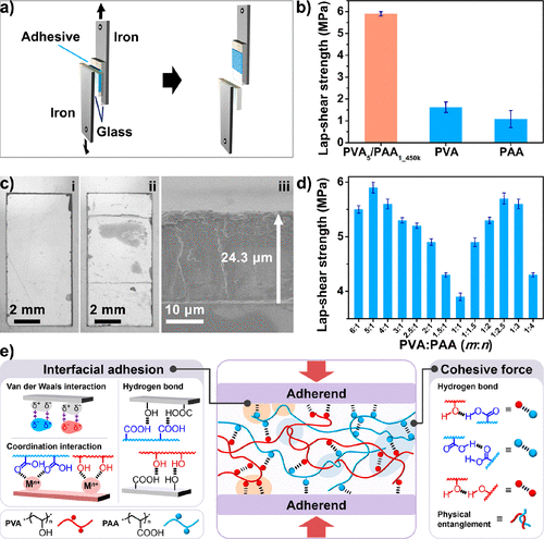 《ACS Materials Lett.》吉林大学孙俊奇：PVA/PAA超强水基超分子胶粘剂的图4