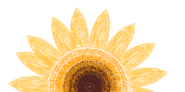f13b6d90-5a0c-4938-8686-956bf647d165.png