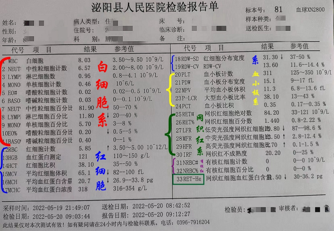 全血细胞分析怎么看检验知识科普——全血细胞检测参数及临床意义解读_https://www.jmylbn.com_新闻资讯_第2张