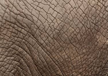 汽车塑料件皮纹定义及设计指导的图1