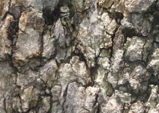 汽车塑料件皮纹定义及设计指导的图2