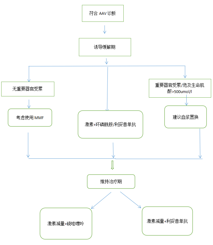 Anca 相关性血管炎患者如何安全应用利妥昔单抗 全网搜