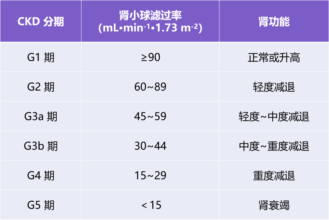 ckd 分期