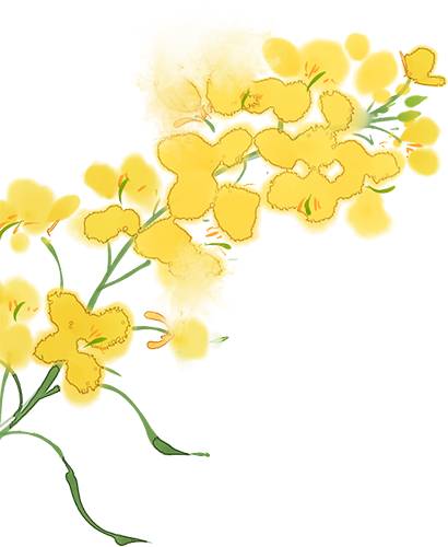 2026清明节放假通知(图20)