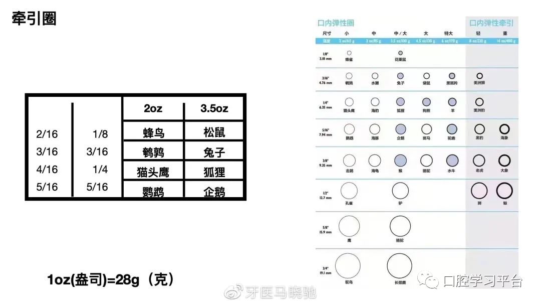 弓丝成型器怎么使用正畸 ｜ 正畸常用钳及附件，一篇认全！_https://www.jmylbn.com_新闻资讯_第66张
