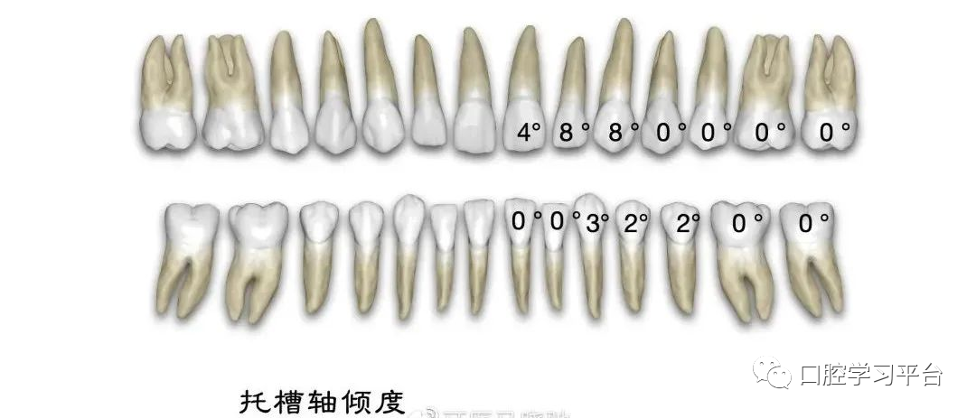 弓丝成型器怎么使用正畸 ｜ 正畸常用钳及附件，一篇认全！_https://www.jmylbn.com_新闻资讯_第71张